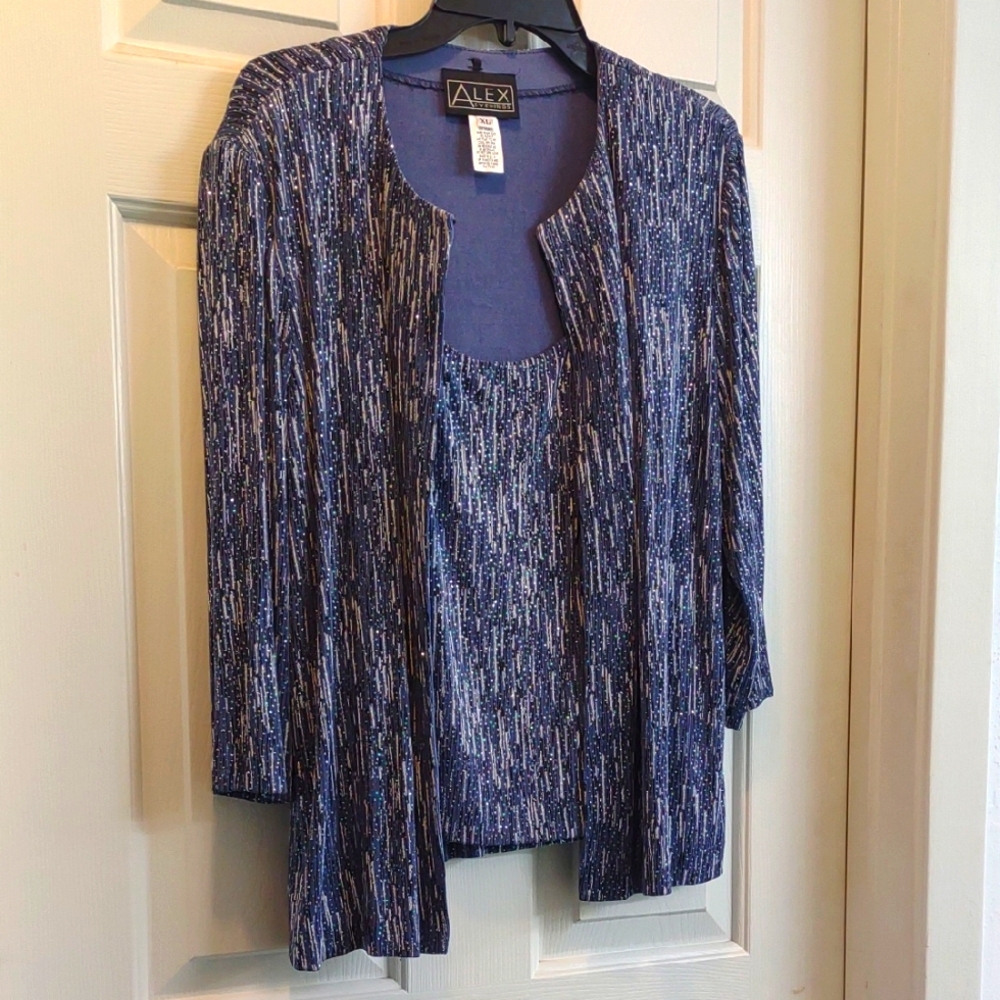 Alex Evenings Women's Blue Sweater Set